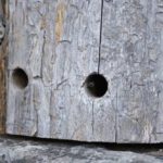 Traditionelle Bienenhaltung in den Cevennen - Fluglöcher in Klotzbeuten