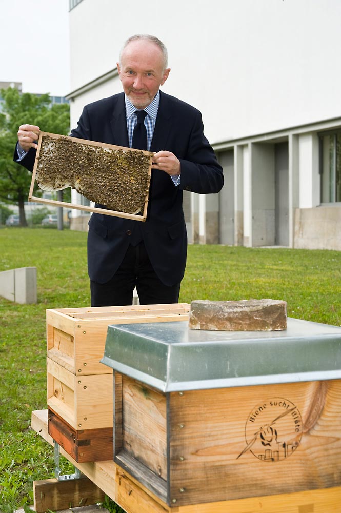Heinrichsgarten - Museumsdirektor Vogel mit den Bienen am Hygiene-Museum