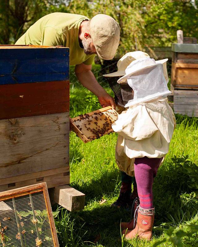Mit Kindern bei den Bienen